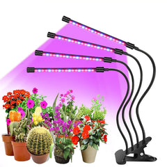 LED Grow Light