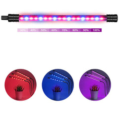 LED Grow Light